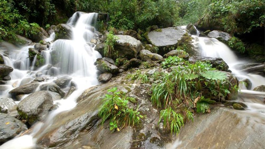 Close view of waters in near Presidente Figueiredo in Manaus