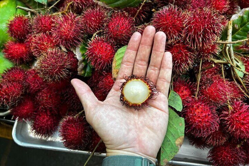 Rambutan