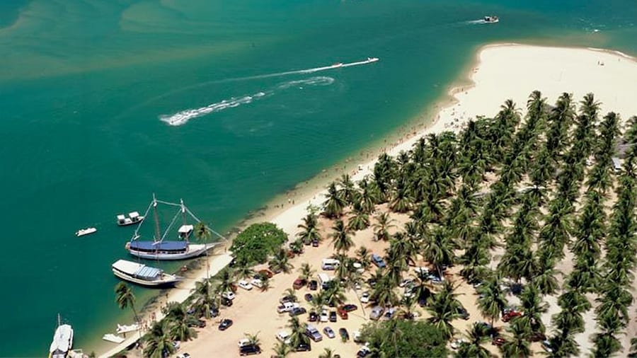 Aerial view of the lush coconut groves on Gunga beach in Maceio