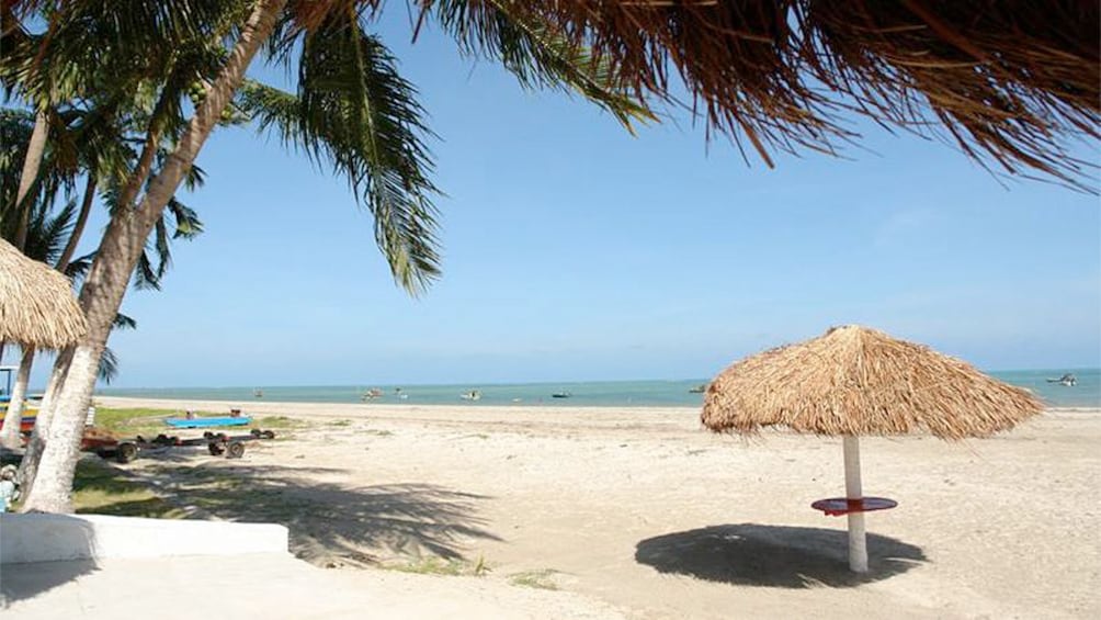 View of the heavenly beaches of Macceio