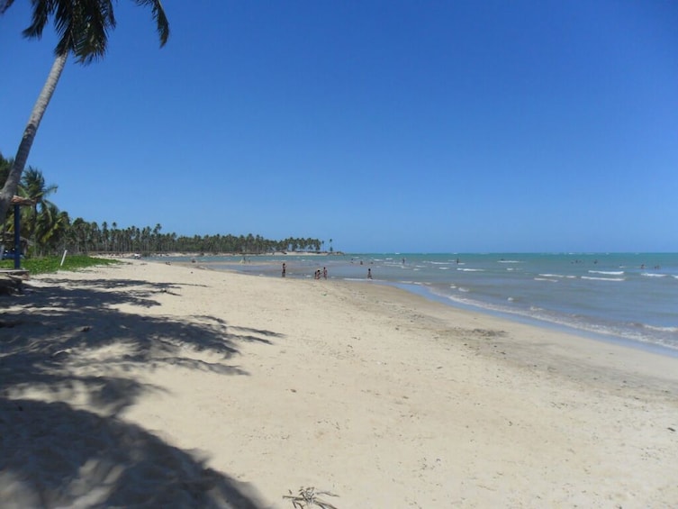 Full-Day Excursion to Paripueira Beach