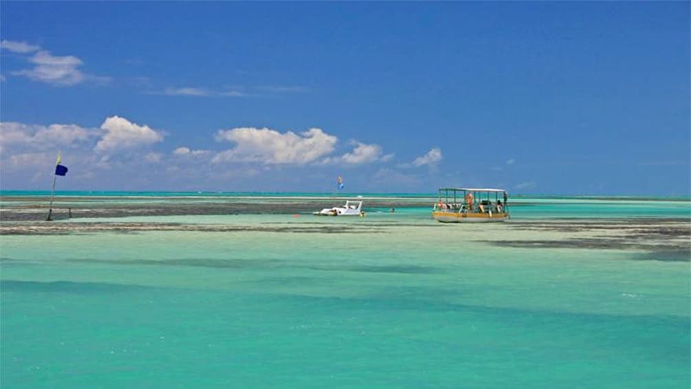 Praia de Paripueira Tide Pools in Maceio 