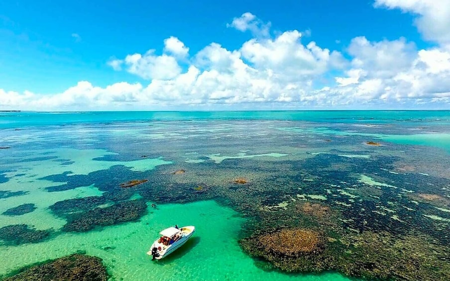 Full-Day Excursion to Paripueira Beach