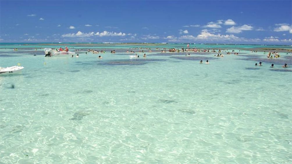 View of the crystal clear waters of Maragogi Beach Gales Reef in Maceio 