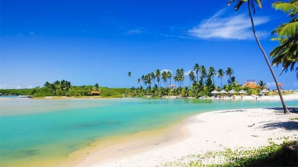 Beautiful white sand beach of Duas Barras in Maceio