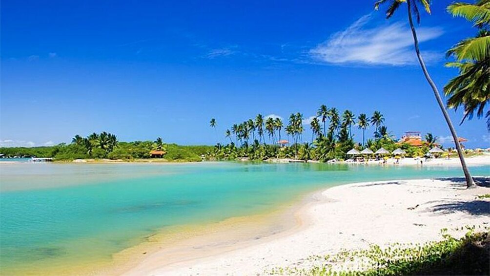 Beautiful white sand beach of Duas Barras in Maceio 