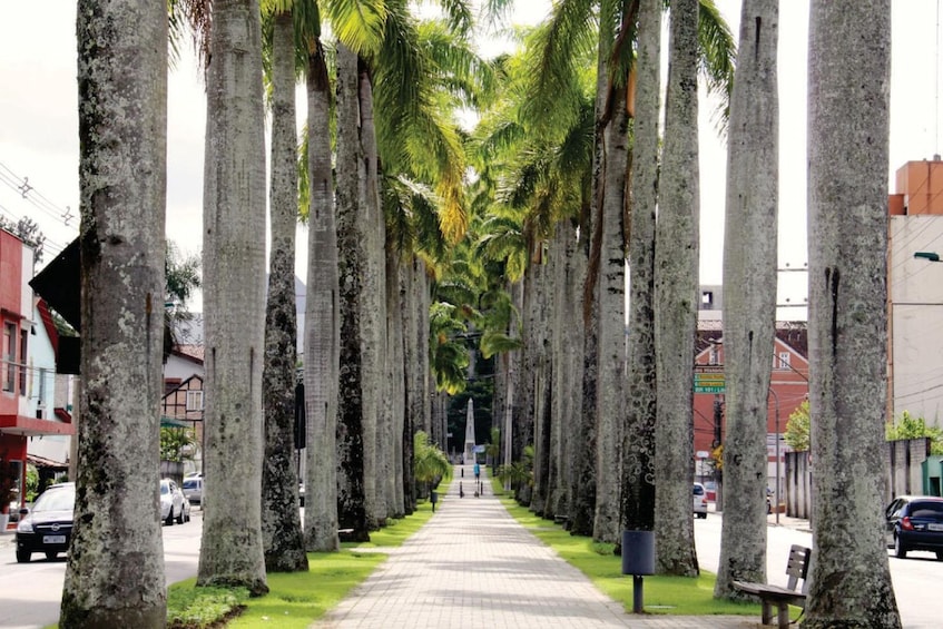 Blumenau City Tour