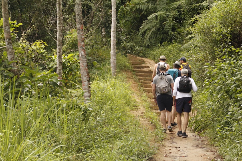 Rainforest Trek to Sono Beach