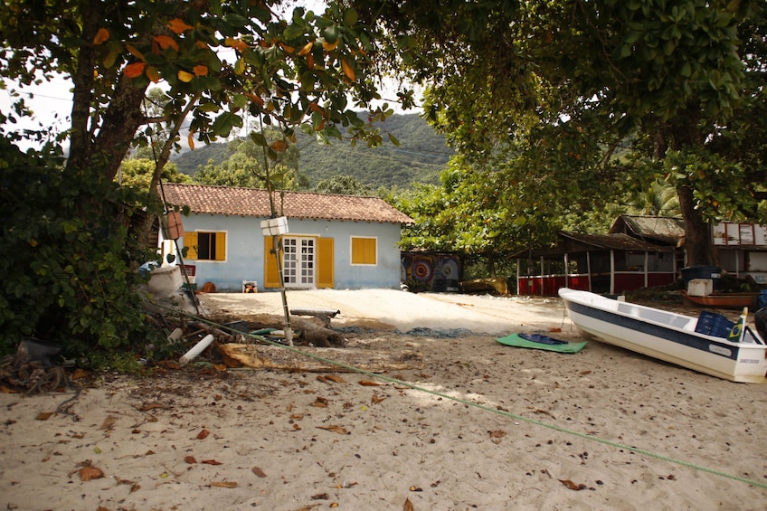 Rainforest Trek to Sono Beach