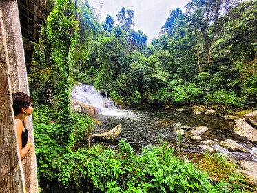 Excursion en jeep dans les chutes d'eau et les jungles