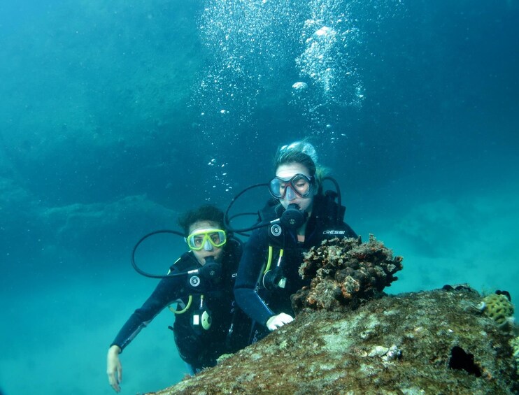 Discover the Sea Scuba Experience