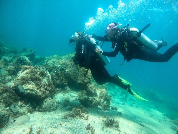 Discover the Sea Scuba Experience