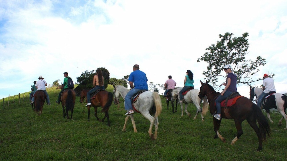 Horseback Riding Tour