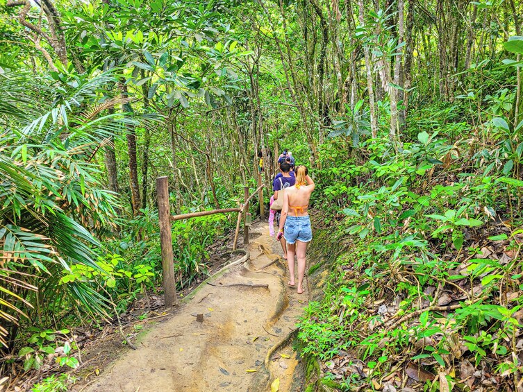 Trindade Fishing Village Beach Trek & Snorkeling