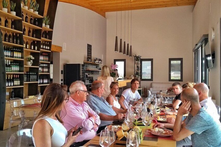 From Venice: Wine Tour in the Euganean Hills