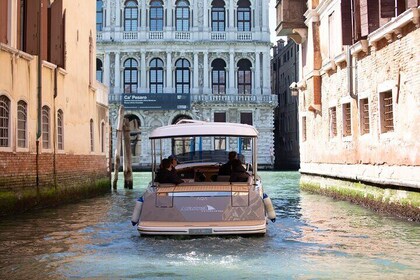 Cruise in Venice Hidden Canals on Electric Boat