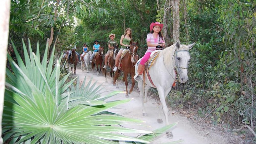 Horseback Riding Cozumel - Cozumel Horseback Riding Lessons | Travelocity