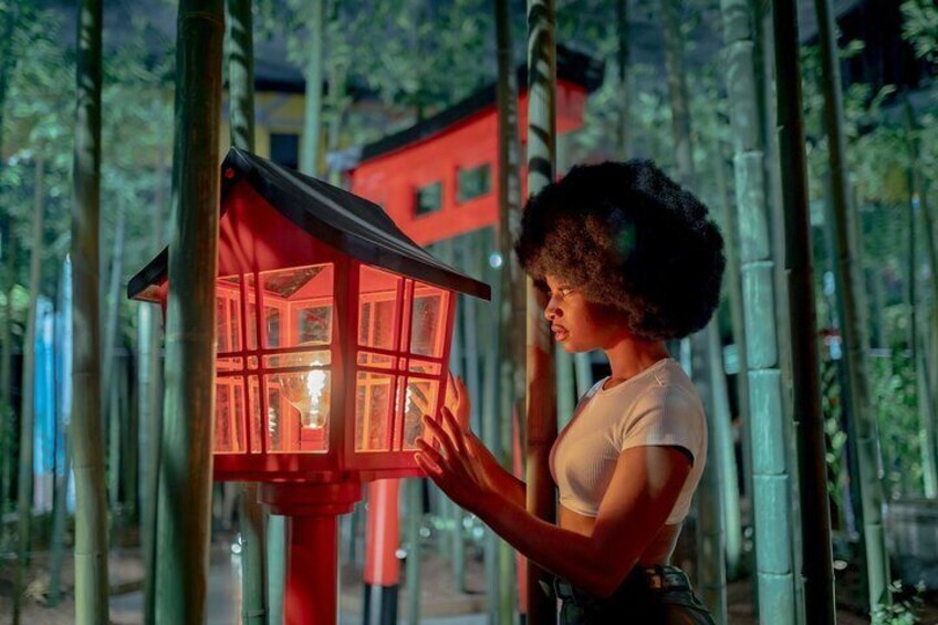 IKONO: a Unique Sensory and Photographic Experience