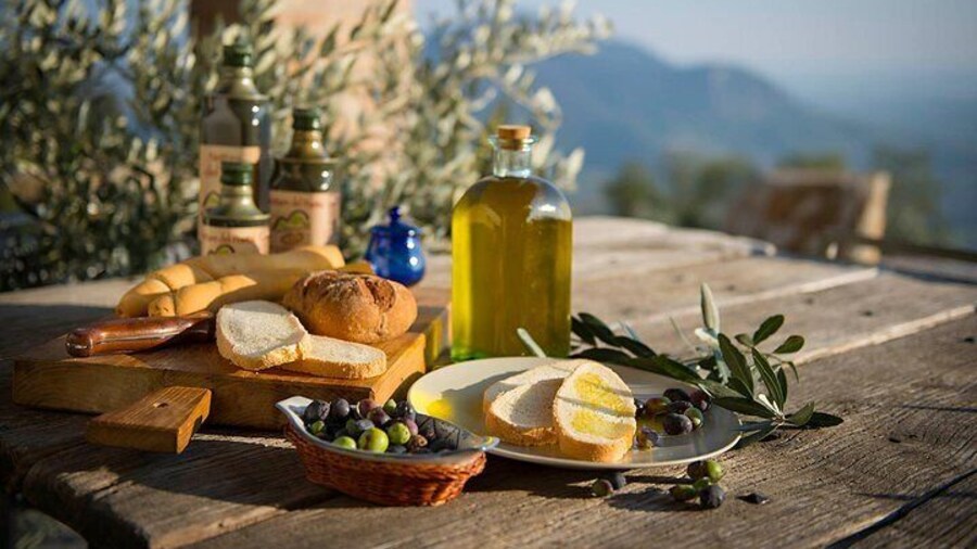 From Abano Montegrotto Olive Oil & Wine in the Euganean Hills