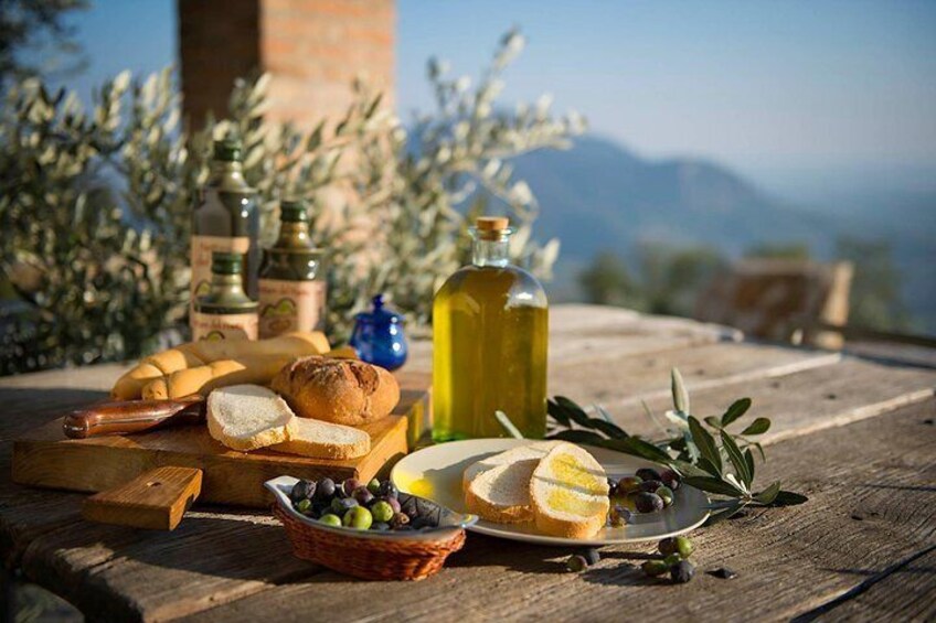 From Abano Montegrotto Olive Oil & Wine in the Euganean Hills