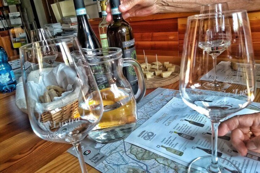 Olive Oil & Wine in the Euganean Hills