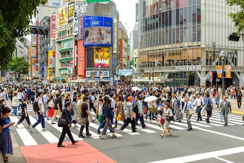 Shibuya iconic crossing 