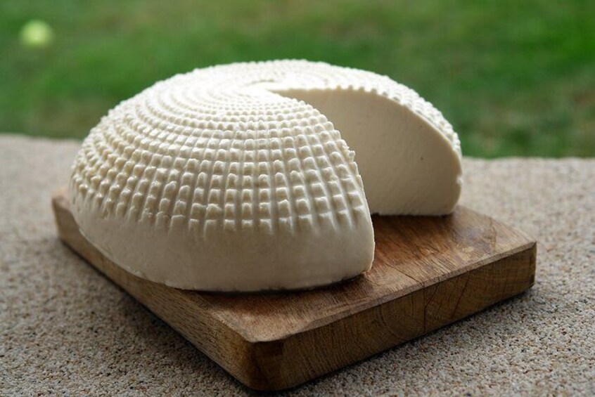 Home made goat cheese tasting