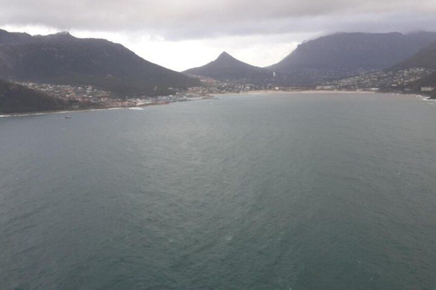 Whale Watching Boat Trip in Hermanus