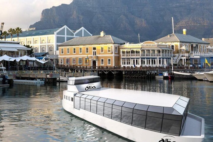  6 Days Tour -The best of Cape Town Experience & Accommadation 
