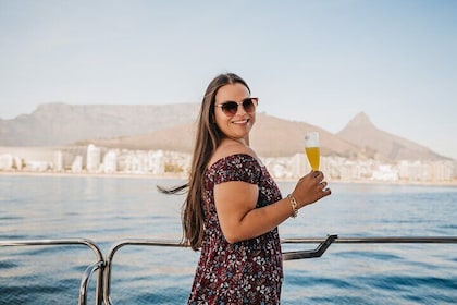 Cruise and Dine Lunch / Cape Town: Coastal Motor Cruise och 2-rätters lunch