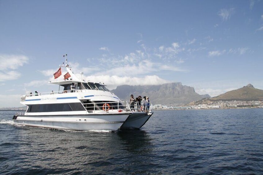 Cruise and Dine Dinner / Cape Town: Sunset Champagne Cruise and 3-Course Dinner