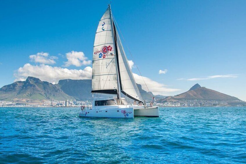 Cruise and Dine Dinner / Cape Town: Sunset Champagne Cruise and 3-Course Dinner