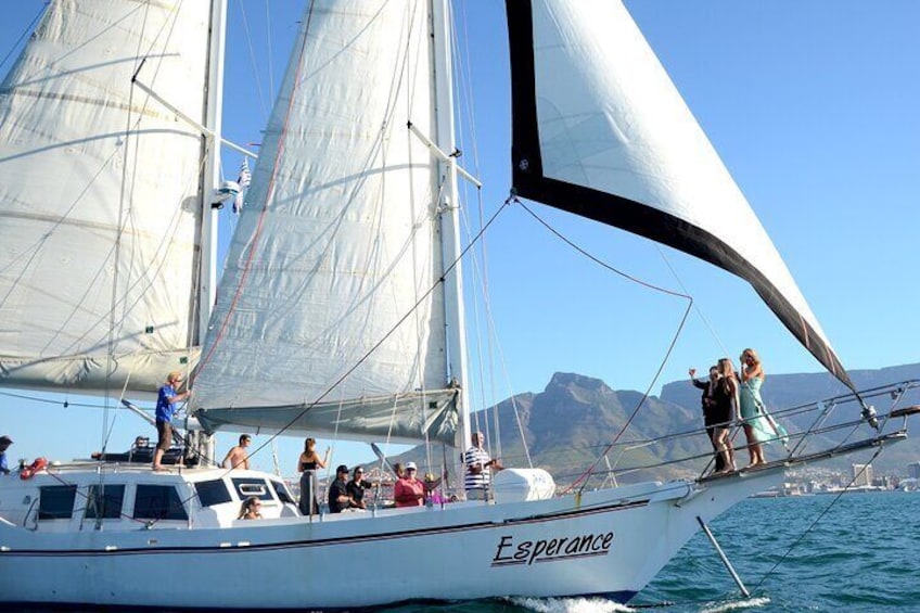 Cruise and Dine Dinner / Cape Town: Sunset Champagne Cruise and 3-Course Dinner