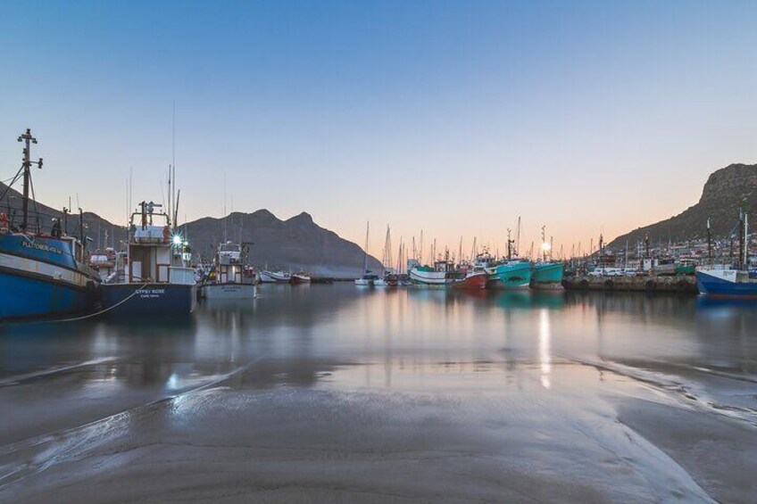 Cape Peninsula and Boulders Beach Penguins from Cape Town - Private Tour Guide