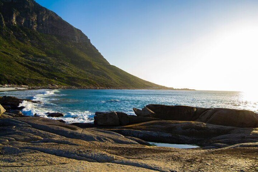 Cape Peninsula and Boulders Beach Penguins from Cape Town - Private Tour Guide