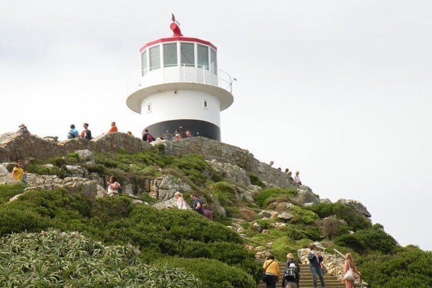 Cape Town Peninsula Private Tour