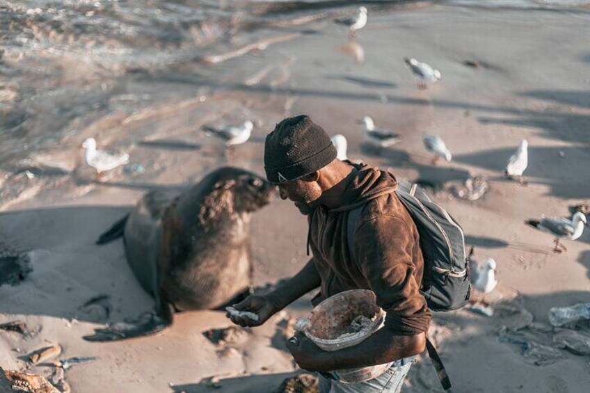 Cape Peninsula and Boulders Beach Penguins from Cape Town - Private Tour Guide