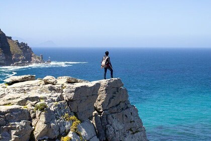 Cape Peninsula Sightseeing Small Group Tour from Cape Town