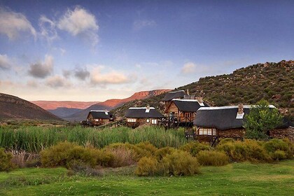 Aquila Wildlife Safari Tour