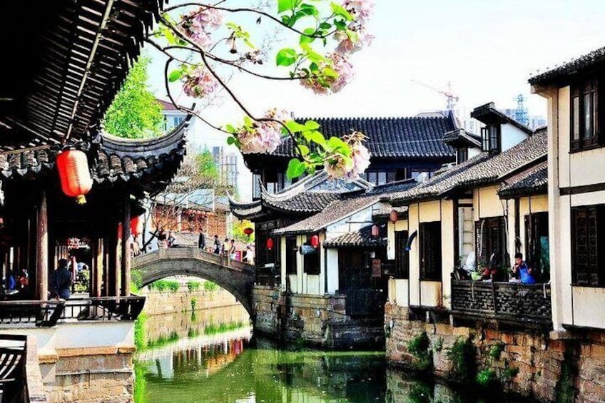 4-Hour Nanxiang Ancient Town Private Tour with Dumpling Tasting 