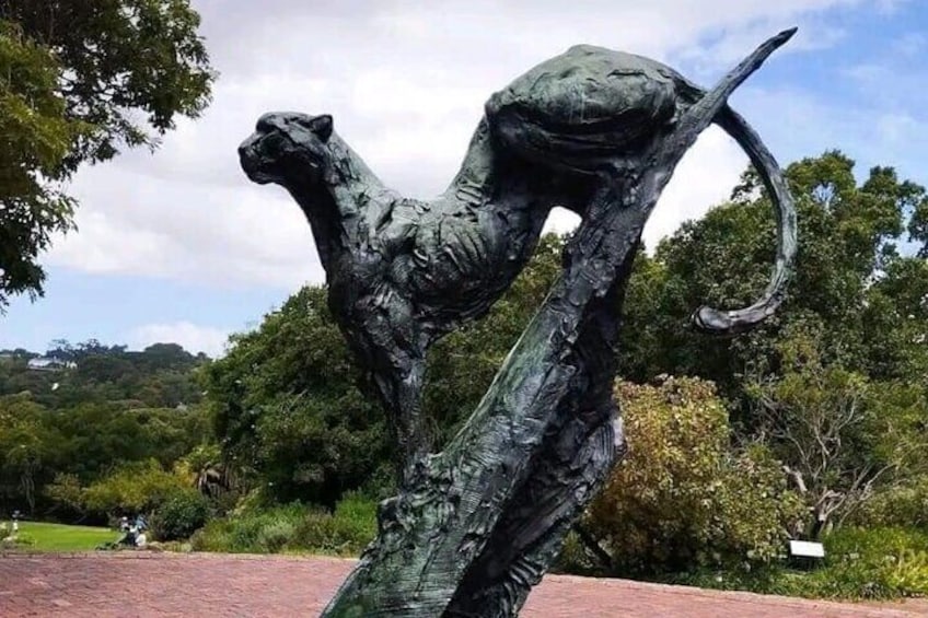 Shared: Cape Winelands, Cheetah Outreach & Kisternbosch Botanical Gardens Tour,