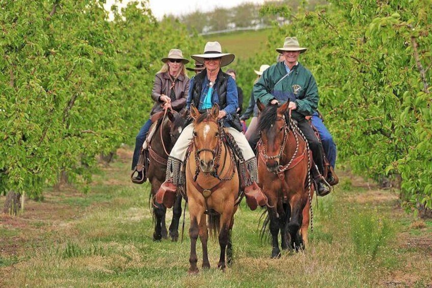 Tuscany: Horseback Riding Adventure with lunch in a Winery of San Gimignano