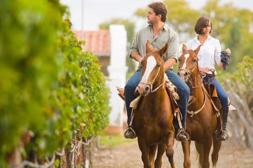 Tuscany: Horseback Riding Adventure with lunch in a Winery of San Gimignano