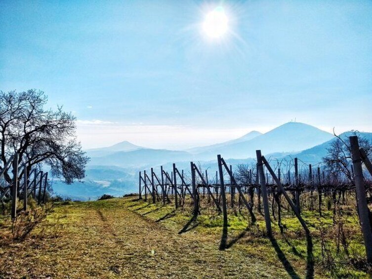 Hiking in the Euganean Hills