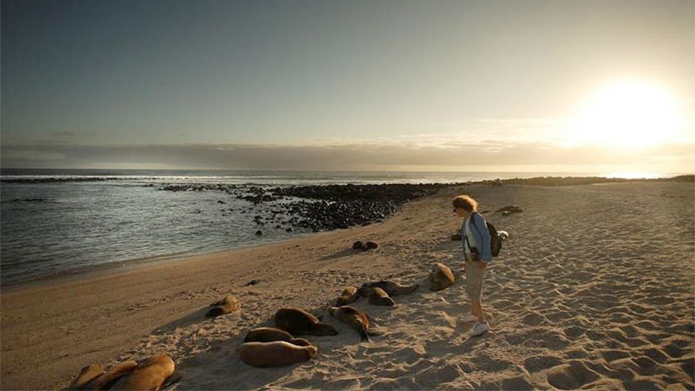 Tourists at Galapagos during sunset 