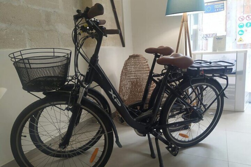 Bicycle and Electric Bike Rental
