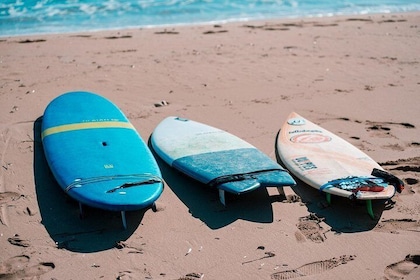 Surf and sup equipment rental