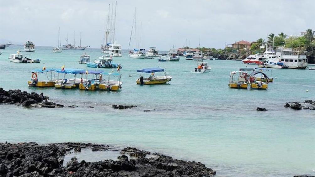 Show item 1 of 8. Serene view of Galapagos Island