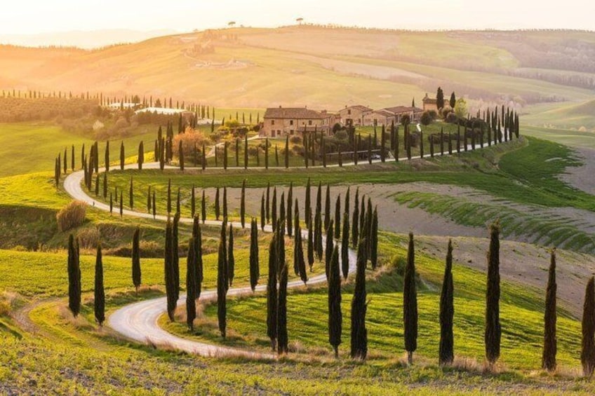 Private Day Trip - Best of Tuscany Landscape and Wine Tour From Florence 