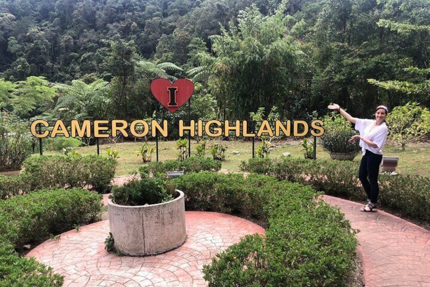 4-Day Cameron Highland and Penang Tour from Kuala Lumpur